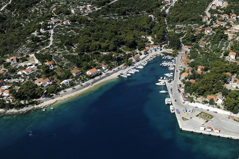 Rogač