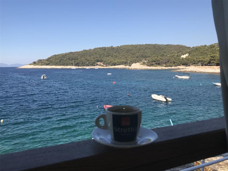 Borce bay buoy field