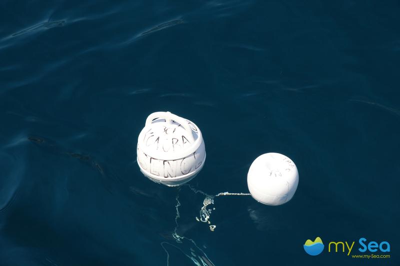 Konoba Arsenol Buoy field