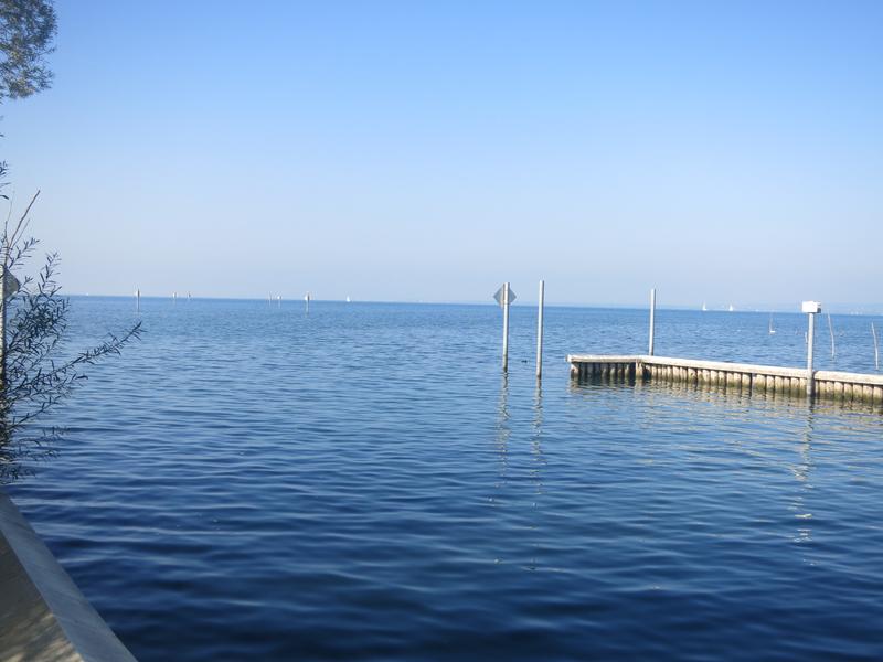 Gemeindehafen Höchst