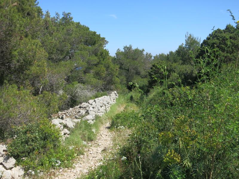 Gradina - Trampelpfad zur Festung.