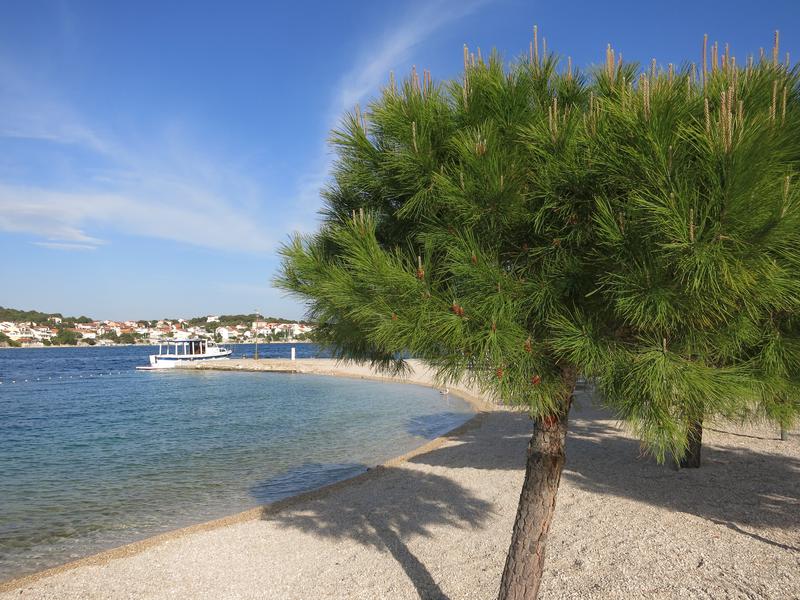 Restaurant Hotel Spongiola