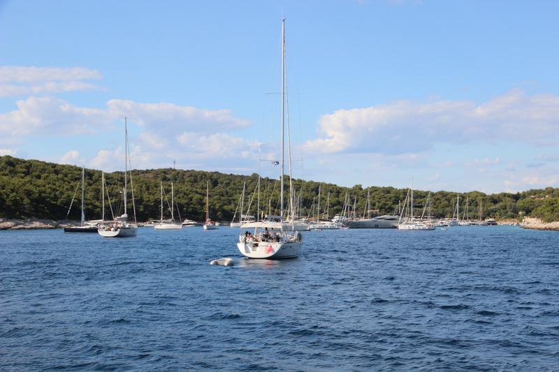 Buoy field Vinogradišće
