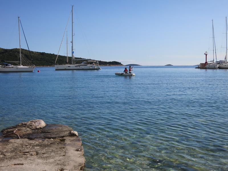 Bojenfeld vor Primosten