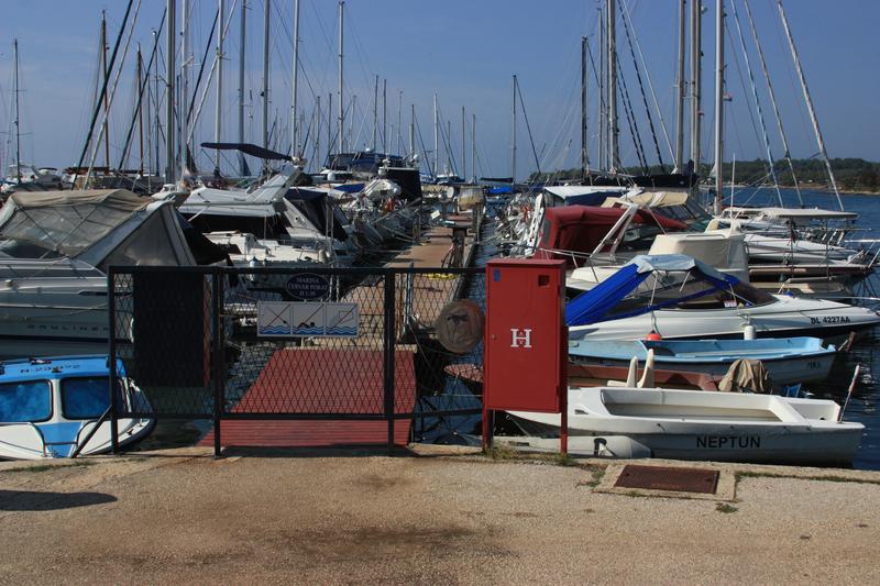 Marina Červar Porat