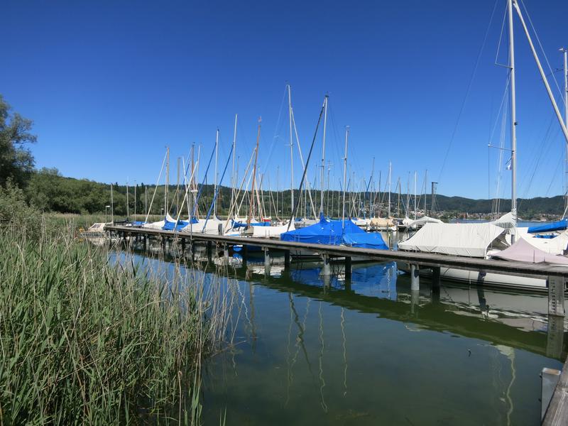 Segelhafen Bodman