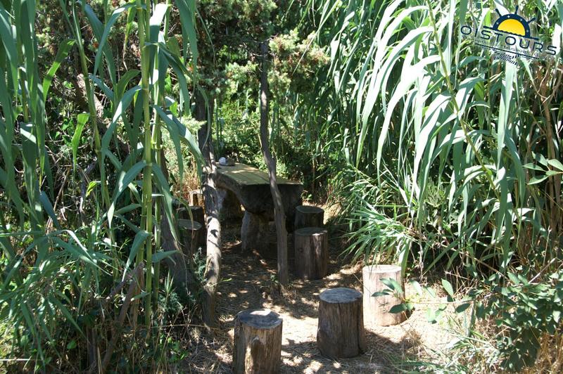 Safari Bar - Eine versteckte Sitzgelegenheit im Schilf.