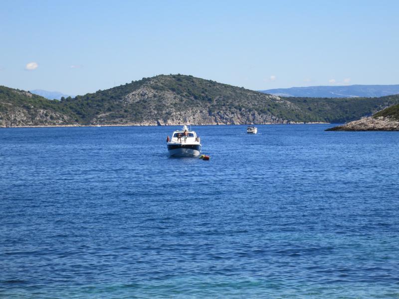 The Fisherman's House & Pension Tonci