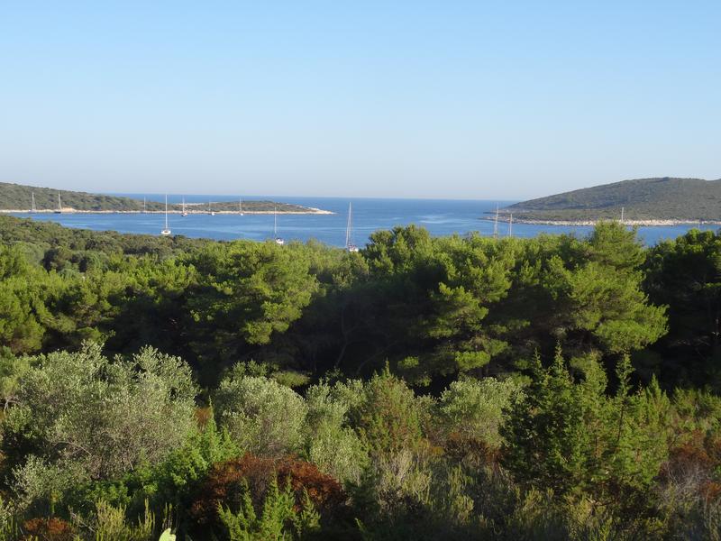 Restaurant Paradiso / Soline buoy field