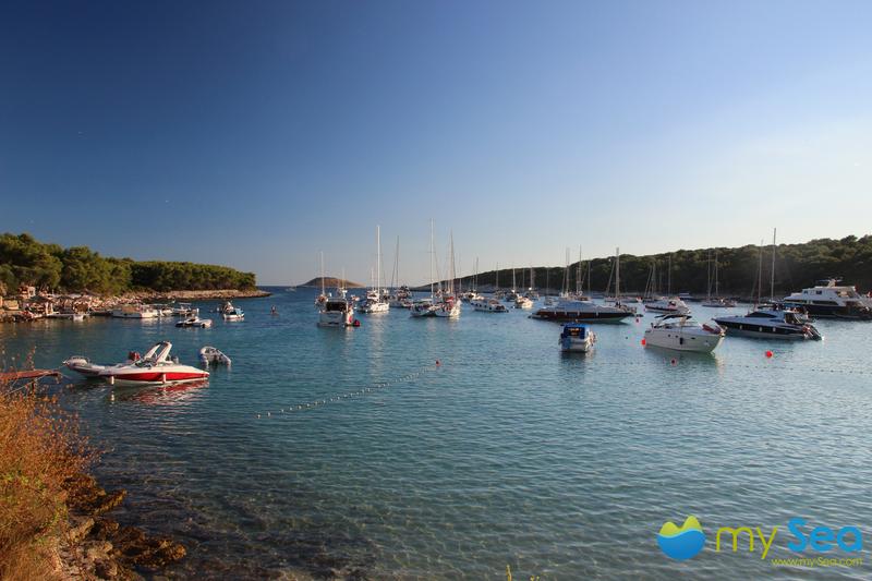 Buoy field Vinogradišće