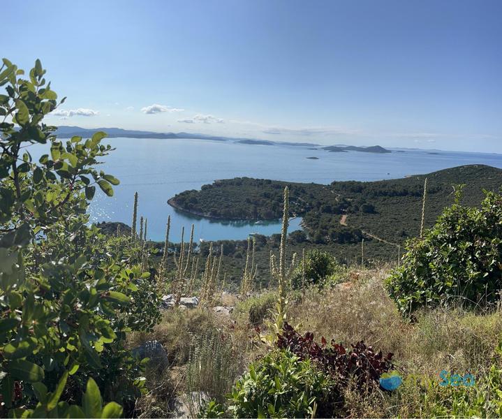 Zaklopica buoy field