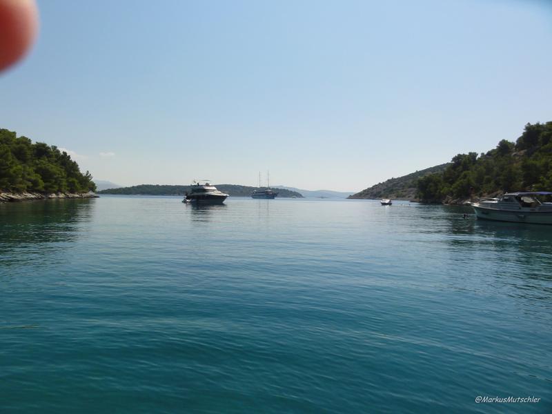 zum Teil etwas lebhaft