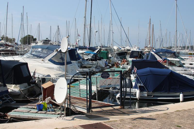 Marina Červar Porat