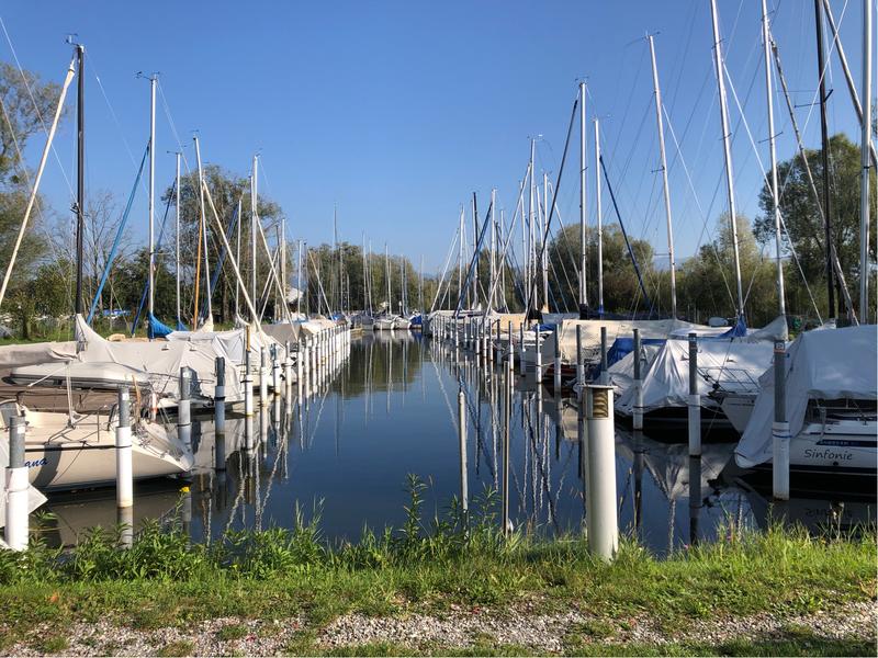 Hafen Yacht-Club Rheindelta