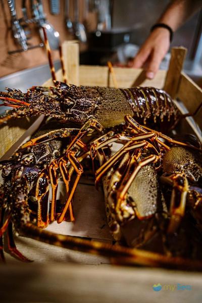 Konoba Budikovac buoys