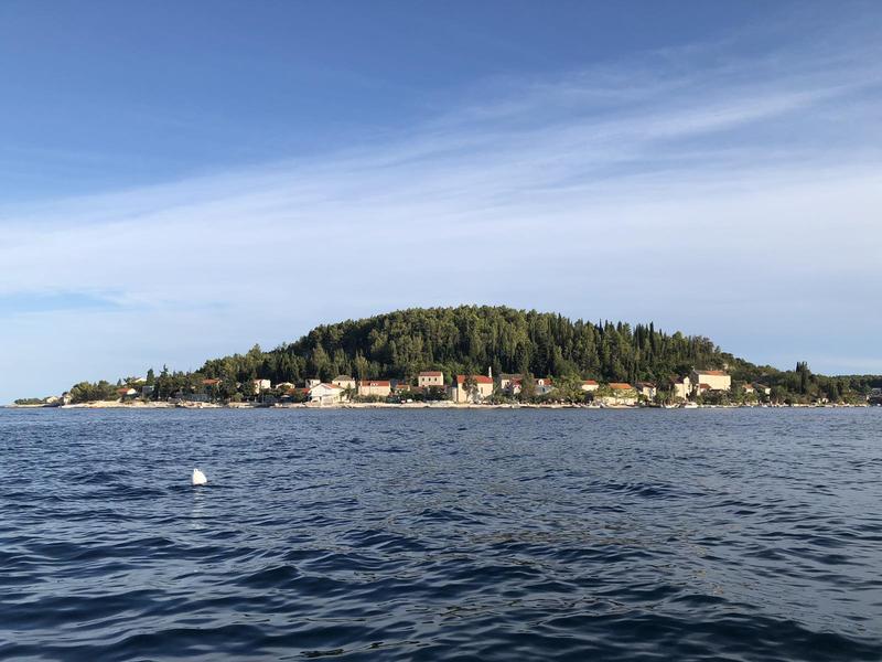 Vrnik Arts Club buoys