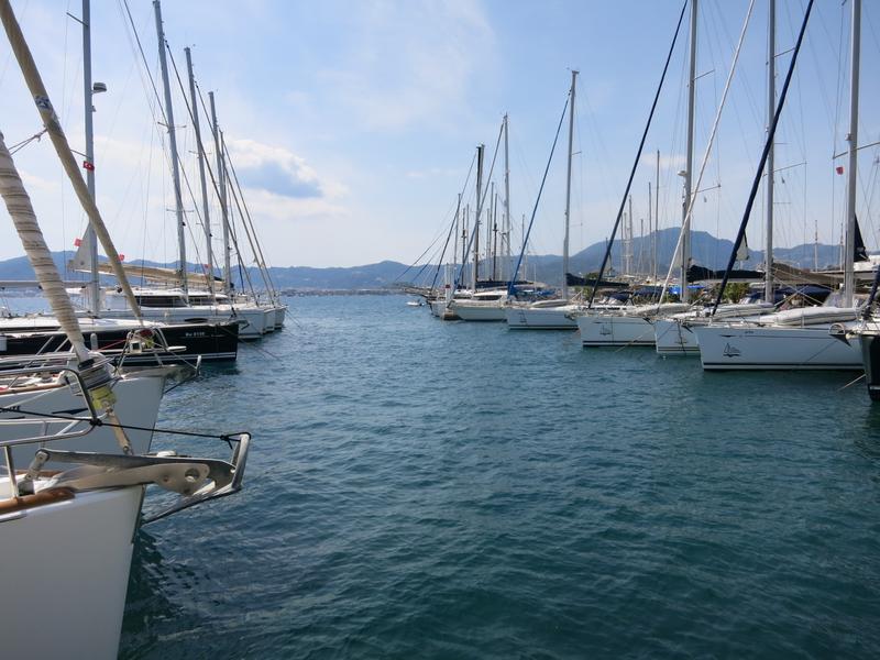 Albatros Marina