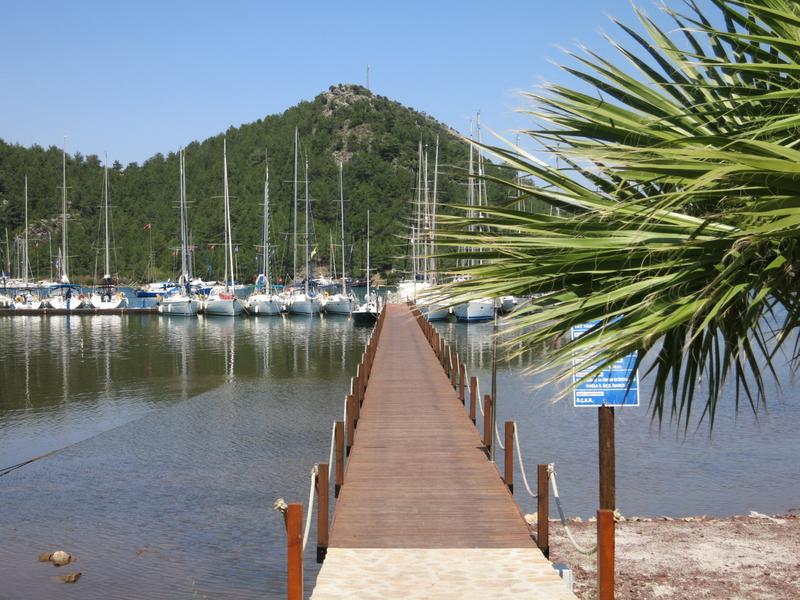 Palmiye