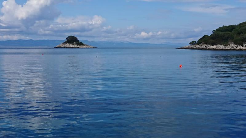 Konoba Mrčara buoys Lastovo