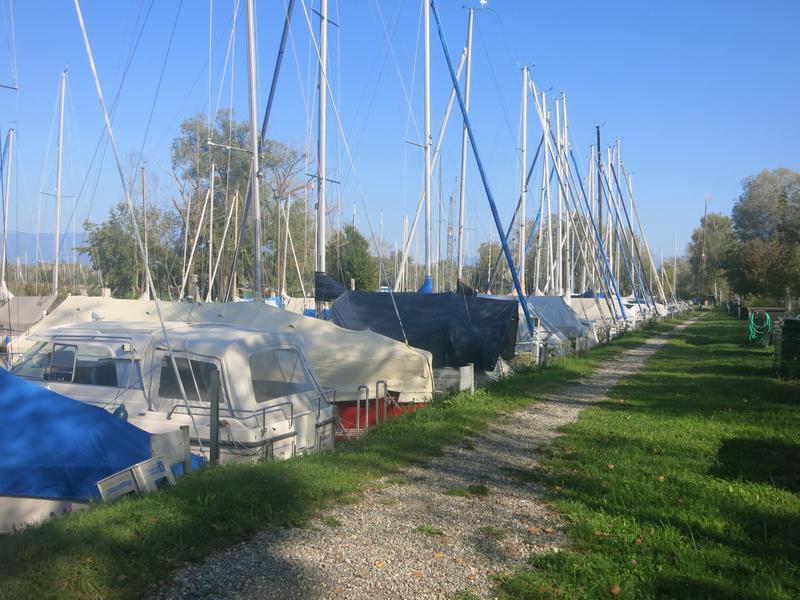 Hafen Yacht-Club Rheindelta