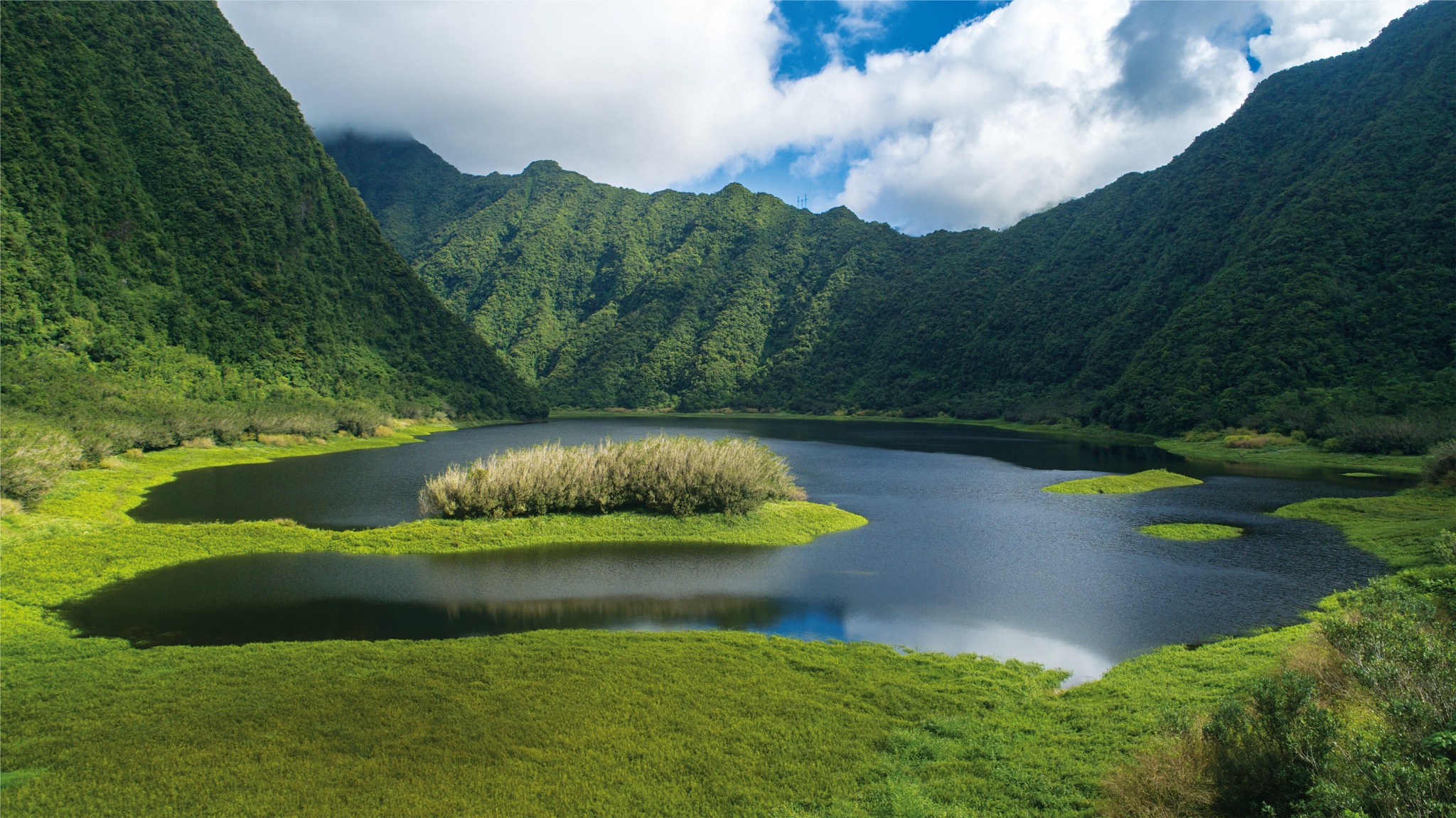 photo L'Eden du Piton des Roches  (situé à la Plaine des Palmistes , île de la Réunion) 