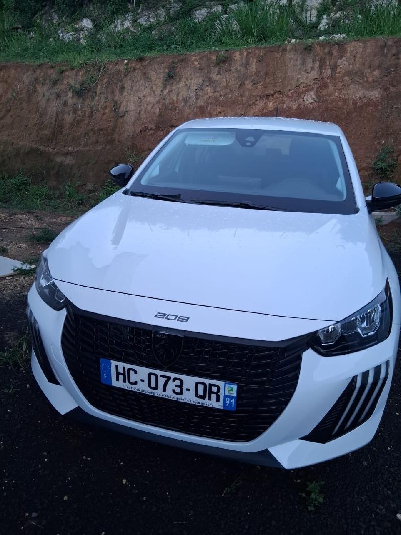 PEUGEOT 208