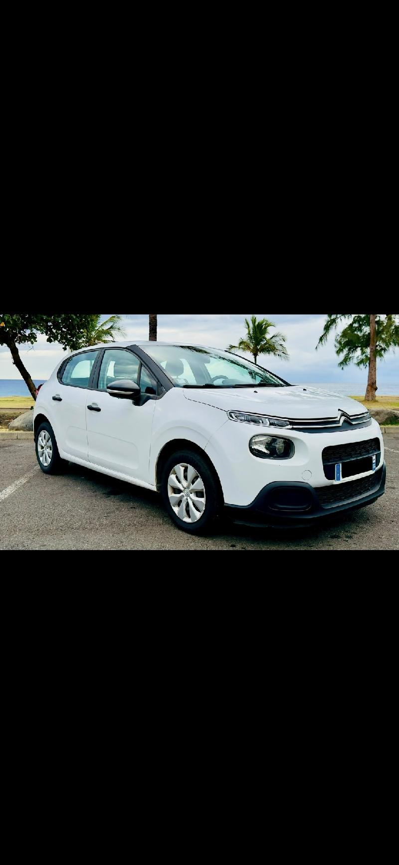 Citroën C3 Société