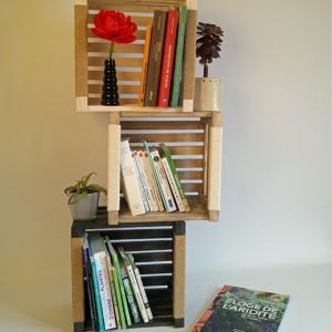 Caisses de rangements livres pour bibliothèque Sabrina