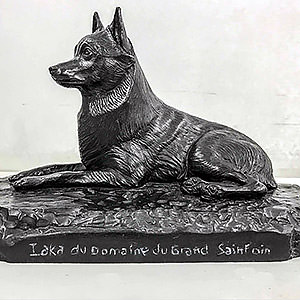 Réalisation d'un chien SHIPPERKE en réalisme Stéphanie