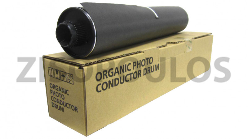 RICOH DRUM BLACK D0099510