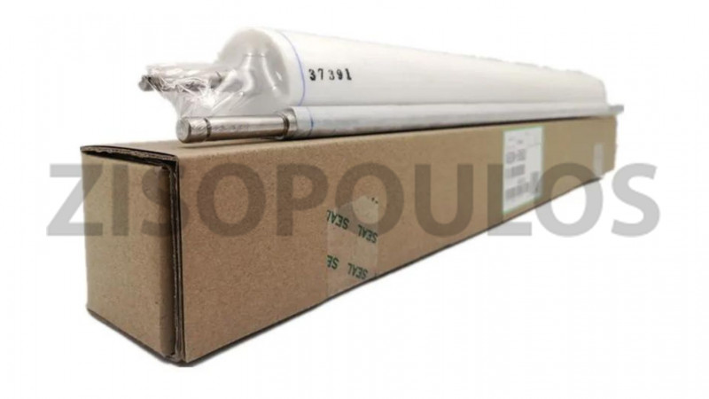 RICOH WEB SUB ASSEMBLY AE045062