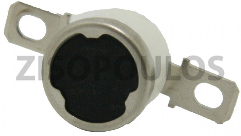 RICOH THERMOSTAT AW110027