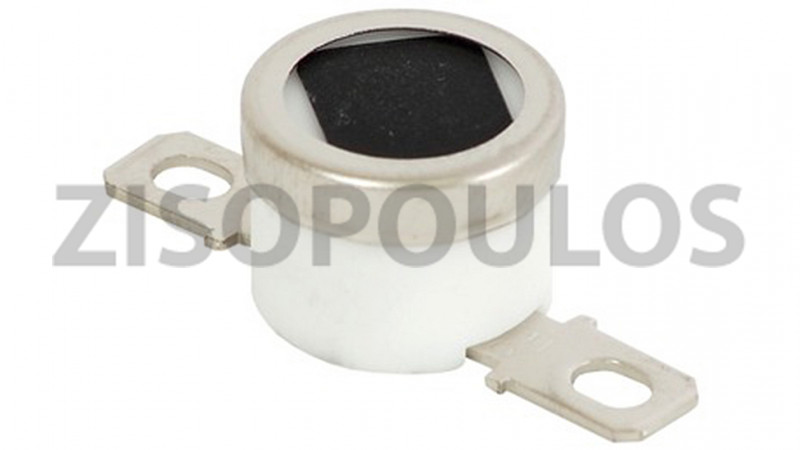 RICOH THERMOSTAT 190C AW110059