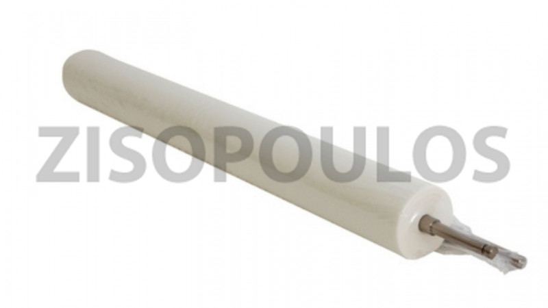 RICOH WEB ROLLER AE045054