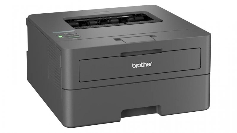BROTHER HL-L2400DWE (HLL2400DWERE1)