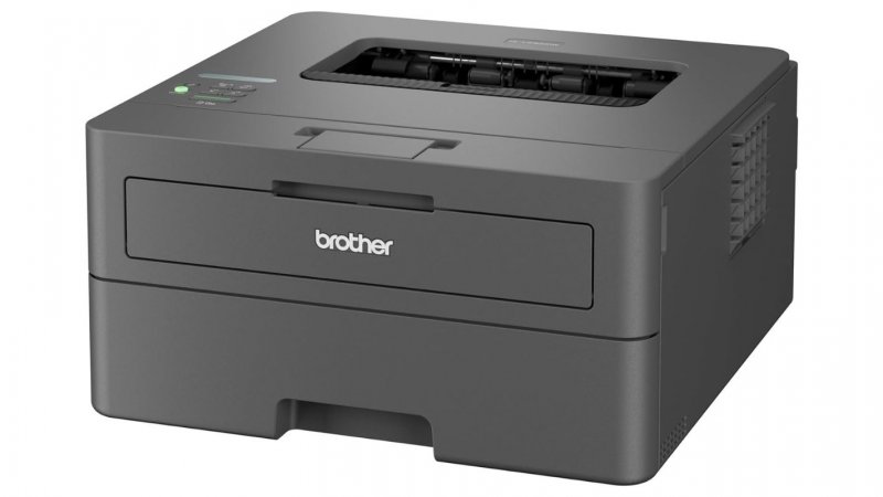 BROTHER HL-L2400DWE (HLL2400DWERE1)