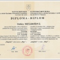 Zvětšit obrázek: certificate 1
