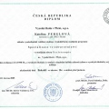 Zvětšit obrázek: certificate 1