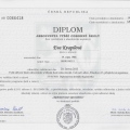 Zvětšit obrázek: certificate 2