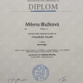 Zvětšit obrázek: certificate 4