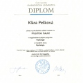 Zvětšit obrázek: certificate 1