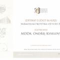 Zvětšit obrázek: certificate 9