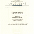 Zvětšit obrázek: certificate 2