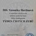 Zvětšit obrázek: certificate 4