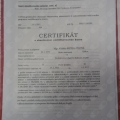 Zvětšit obrázek: certificate 5