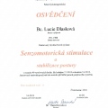 Zvětšit obrázek: certificate 11