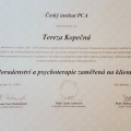 Zvětšit obrázek: certificate 3