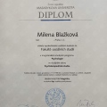 Zvětšit obrázek: certificate 3