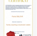 Zvětšit obrázek: certificate 2