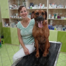Zvětšit obrázek: Renáta Novotná, veterinář Brno